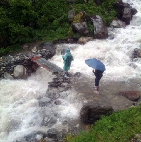 valley of flowers trek